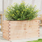Jardinera 4 niveles madera maciza de pino blanca 80,5x79x36 cm