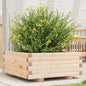 Jardinera 4 niveles madera maciza de pino blanca 80,5x79x36 cm