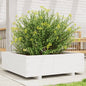 Jardinera 4 niveles madera maciza de pino blanca 80,5x79x36 cm