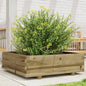 Jardinera 4 niveles madera maciza de pino blanca 80,5x79x36 cm