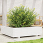 Jardinera 4 niveles madera maciza de pino blanca 80,5x79x36 cm