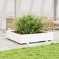 Jardinera 4 niveles madera maciza de pino blanca 80,5x79x36 cm