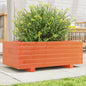 Jardinera 4 niveles madera maciza de pino blanca 80,5x79x36 cm
