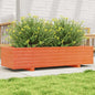 Jardinera 4 niveles madera maciza de pino blanca 80,5x79x36 cm