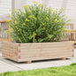 Jardinera 4 niveles madera maciza de pino blanca 80,5x79x36 cm