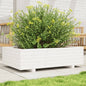 Jardinera 4 niveles madera maciza de pino blanca 80,5x79x36 cm