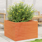 Jardinera 4 niveles madera maciza de pino blanca 80,5x79x36 cm