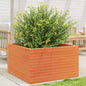 Jardinera 4 niveles madera maciza de pino blanca 80,5x79x36 cm