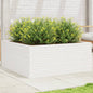 Jardinera 4 niveles madera maciza de pino blanca 80,5x79x36 cm
