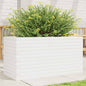 Jardinera 4 niveles madera maciza de pino blanca 80,5x79x36 cm