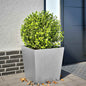 Jardinera acero corten 100x100x18,5 cm