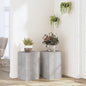 Plant stands 2 pcs engineered wood white 17x17x60 cm