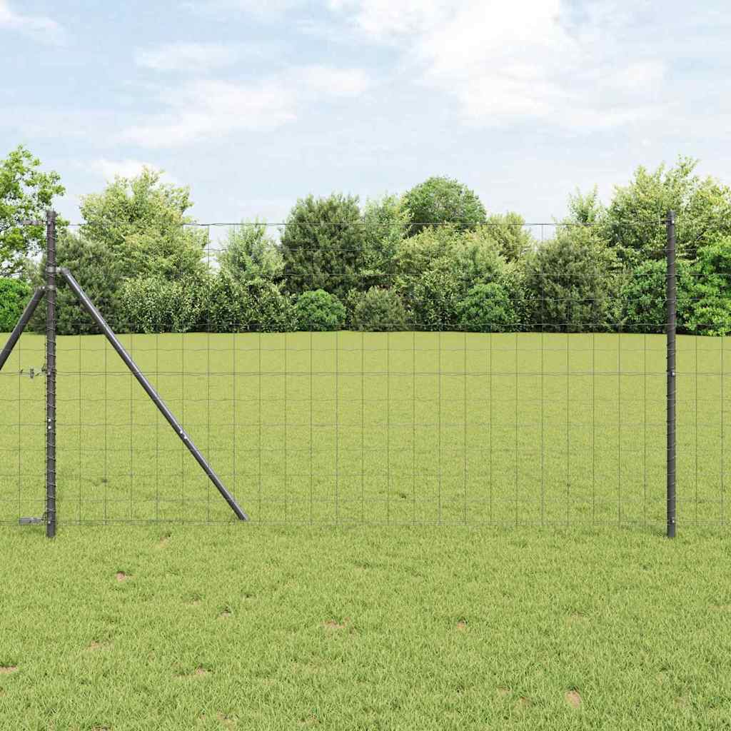 Reja con postes Verde 1.2 x 10 m Acero