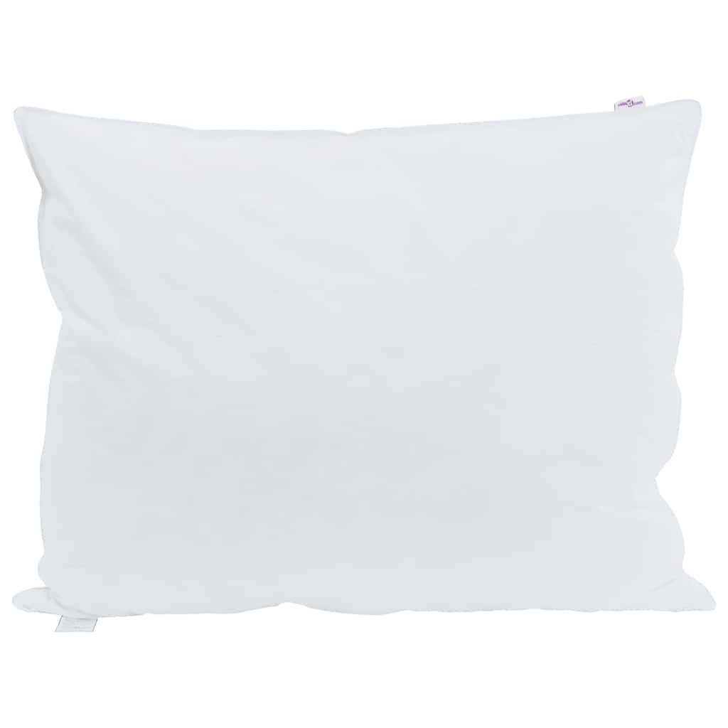 Almohada con almohada 2 pcs 30 x 50 cm Pluma