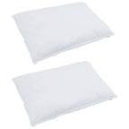 Almohada con almohada 2 pcs 30 x 50 cm Pluma