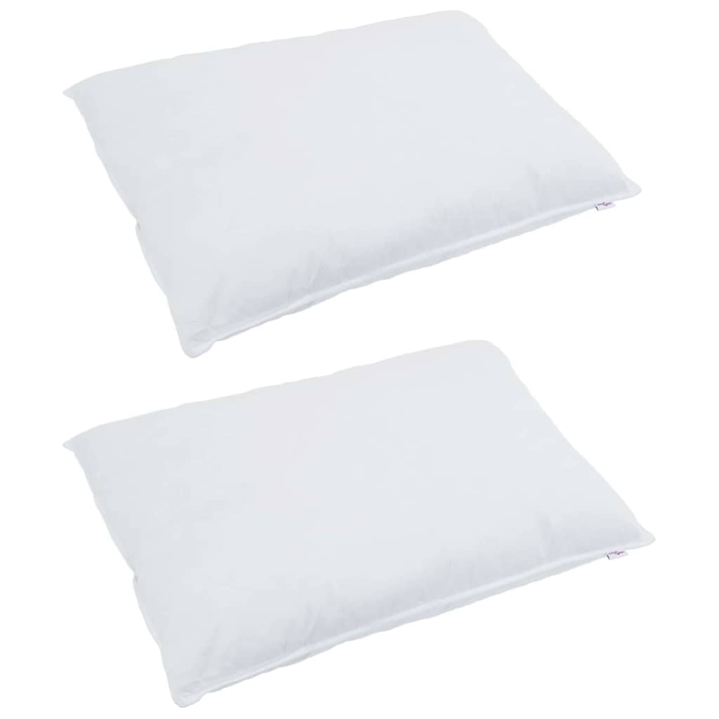 Almohada con almohada 2 pcs 30 x 50 cm Pluma