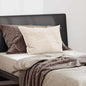 Almohada 40 x 60 cm Algodón y Poliéster