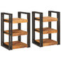 Mesita de Noche 2 pcs Marrón y Negro Madera de mango maciza