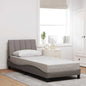 Cama sem colchão madeira maciça pinho castanho cera 80x200 cm