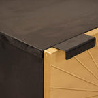 Armario auxiliar con cajón Negro y dorado 40 x 33,5 x 110 cm