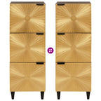 Armario auxiliar con cajón Negro y dorado 40 x 33,5 x 110 cm