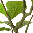 Árbol ficus artificial 30 hojas verde 125 cm