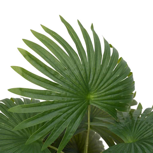 Planta de palma artificial 9 hojas 65 cm verde
