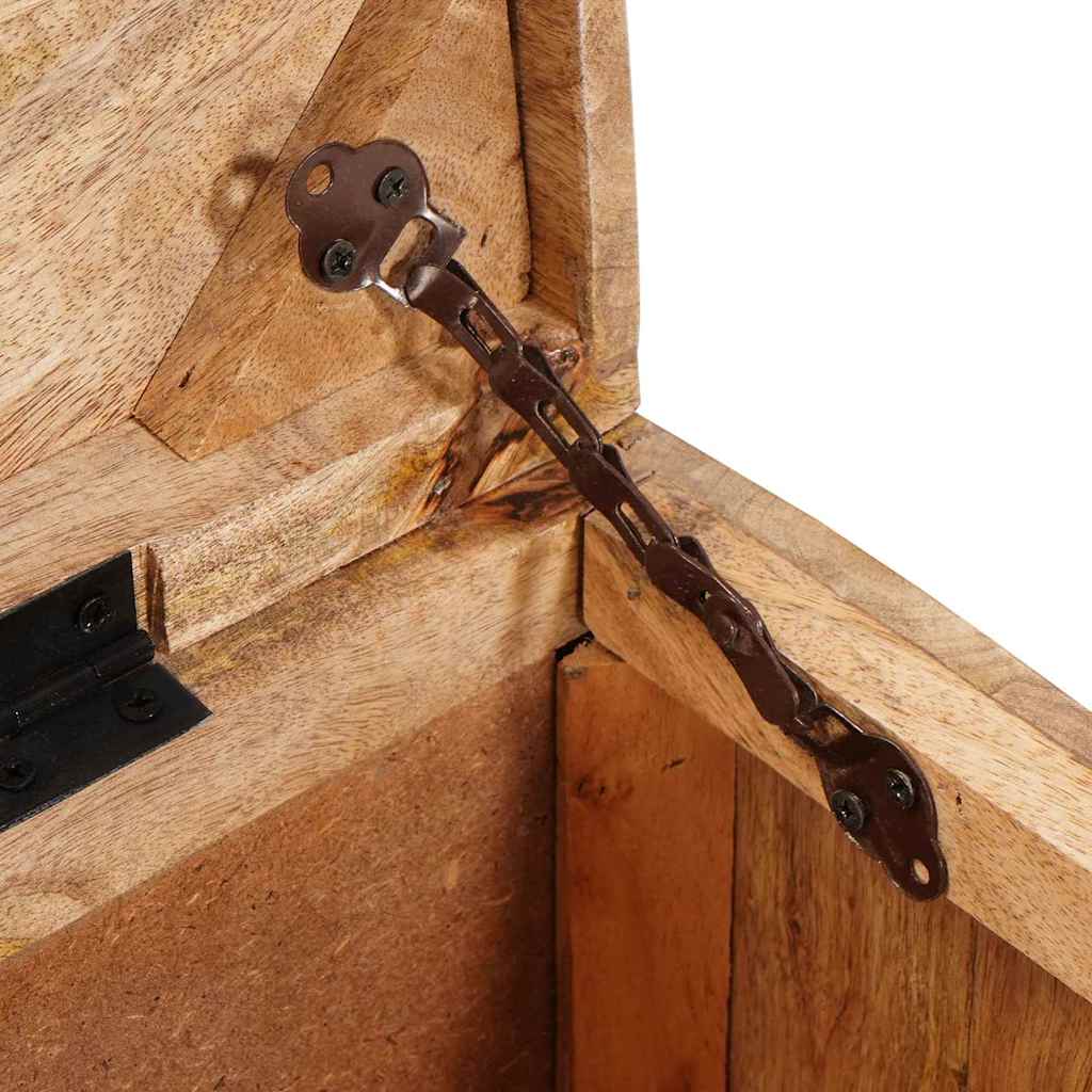 Caixa de arrumação com porta Castanho Madeira de mangueira maciça