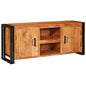 TV cabinet with shelf Multicolor solid reclaimed wood