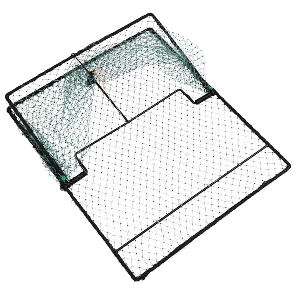 Trampa para pájaros Verde 50 x 60 x 1,9 cm Polietileno