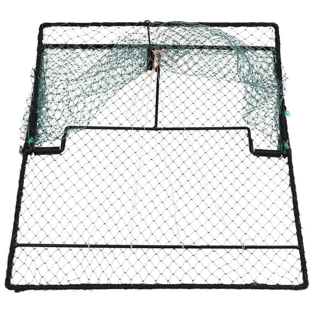 Trampa para pájaros Verde 50 x 60 x 1,9 cm Polietileno