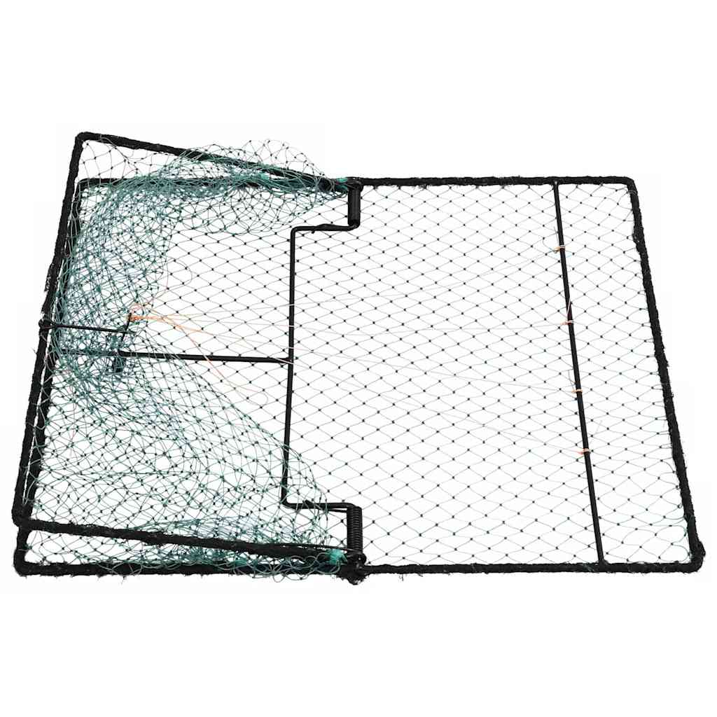 Trampa para pájaros Verde 50 x 60 x 1,9 cm Polietileno