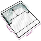 Trampa para pájaros Verde 50 x 60 x 1,9 cm Polietileno