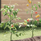 Soporte para plantas 20 pcs Plateado 150 x 0,6 x 0,6 cm Acero