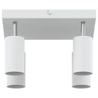 Foco de techo con focos 26 x 26 x 16 cm Metal