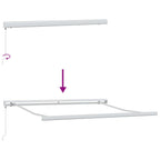 Toldo Retráctil 300 x 250 cm Tela y Metal