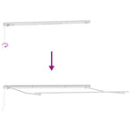 Toldo Manual 450 x 300 x 165 cm Poliéster y metal