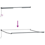 Toldo Manual Verde y 450 x 300 x 165 cm Poliéster y metal