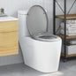 Assento de Sanita Antracite 47 x 37 x 4 cm Termofixo