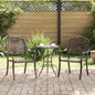 Cadeira de Jardim 2 pçs 55 x 56,5 x 91cm Alumínio