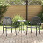 Cadeira de Jardim 2 pçs 55 x 56,5 x 91cm Alumínio