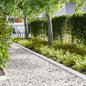 Lawn Edging 10 pcs 100 x 0.05 x 15 cm
