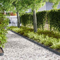 Lawn Edging 10 pcs 100 x 0.05 x 15 cm