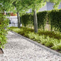 Lawn Edging 10 pcs 100 x 0.05 x 15 cm