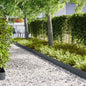 Lawn Edging 10 pcs 100 x 0.05 x 15 cm