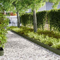 Lawn Edging 10 pcs 100 x 0.05 x 15 cm