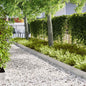 Lawn Edging 10 pcs 100 x 0.05 x 15 cm