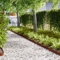 Lawn Edging 10 pcs 100 x 0.05 x 15 cm