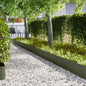 Lawn Edging 10 pcs 100 x 0.05 x 15 cm
