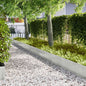 Lawn Edging 10 pcs 100 x 0.05 x 15 cm